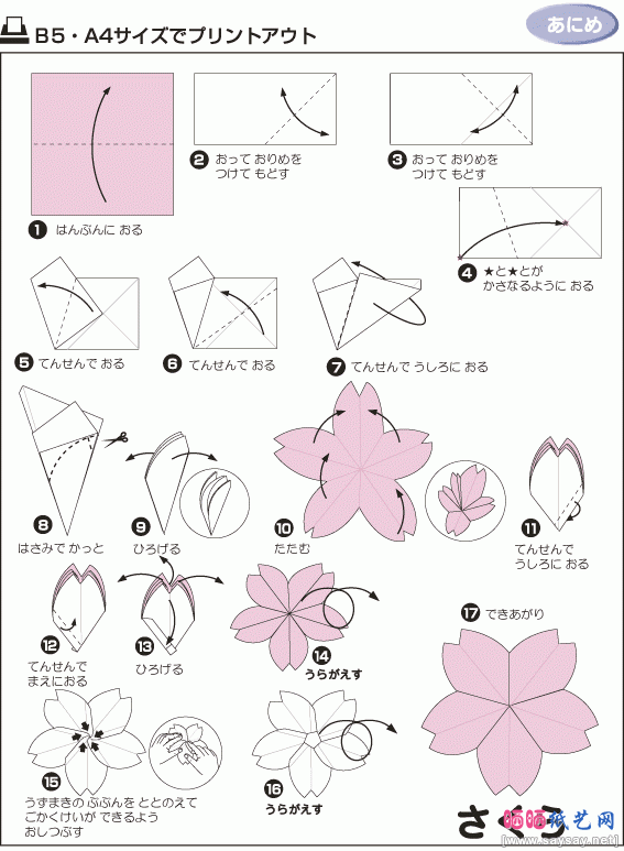 樱花