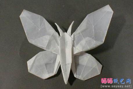 神奇的白色昆虫世界系列折纸欣赏