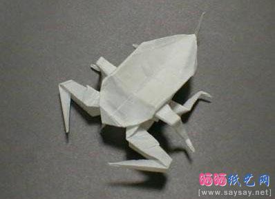 神奇的白色昆虫世界系列折纸欣赏