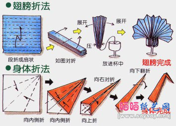 在酒杯中的孔雀折纸教程-餐巾折法