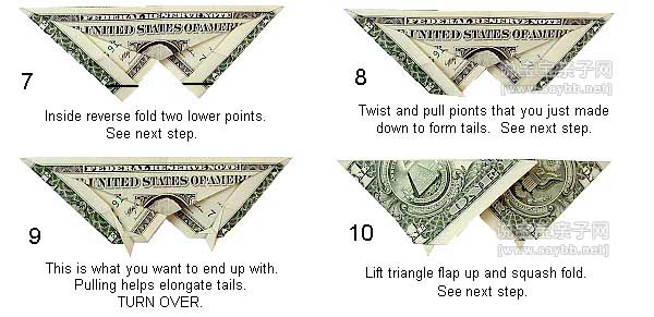 美元蝴蝶折纸图解教程