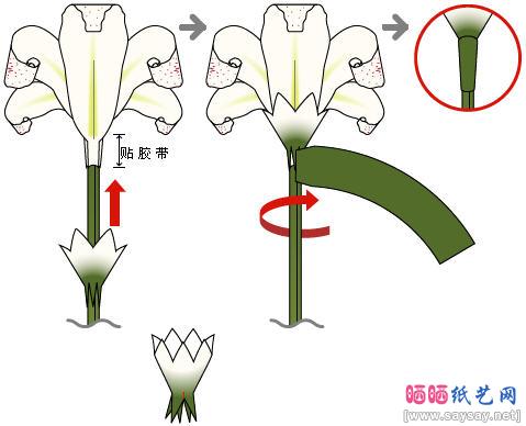 逼真的百合花折纸教程