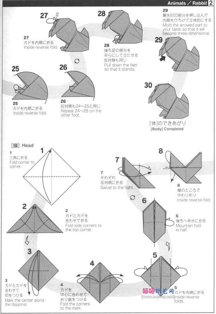 兔子的折法