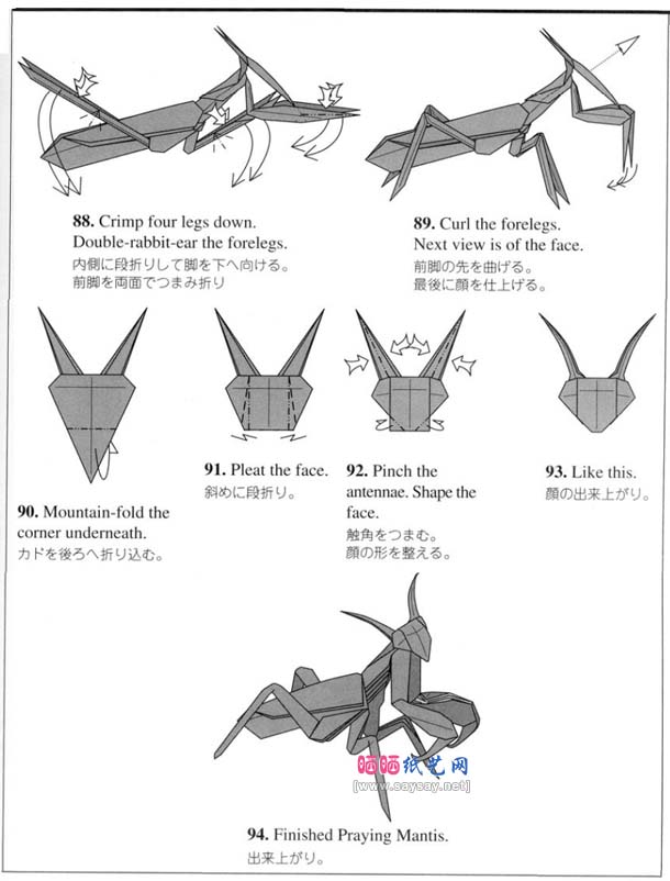 螳螂的折法-高级折纸教程