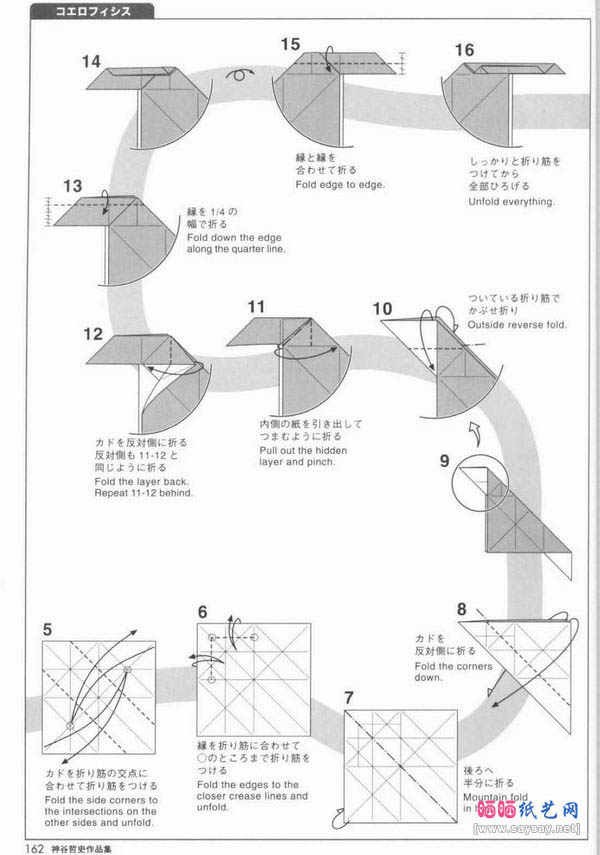 Coelophysis虚形龙折纸图解教程