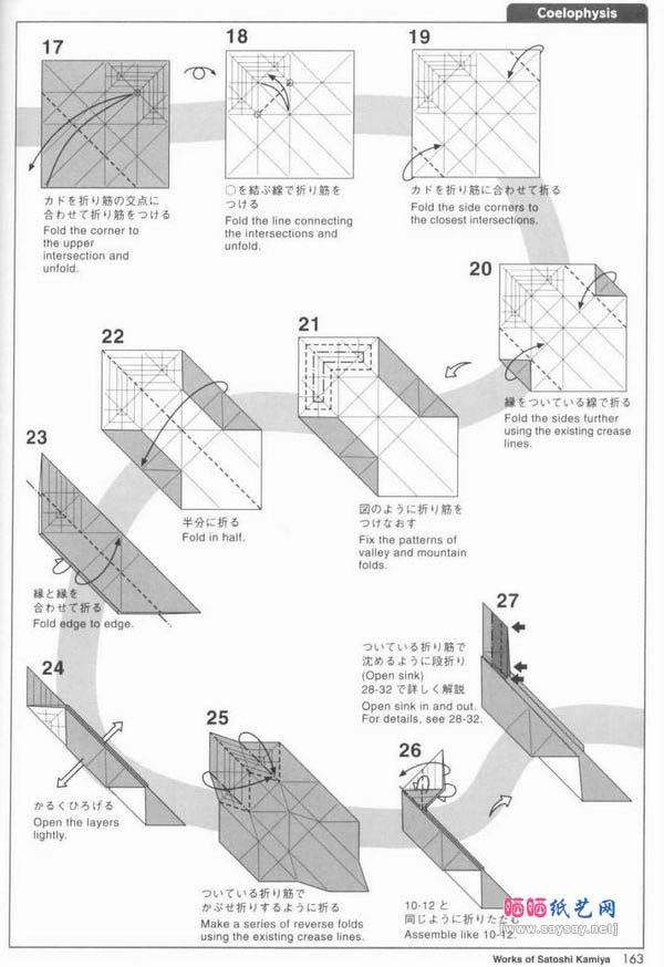 Coelophysis虚形龙折纸图解教程