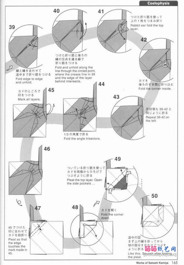 Coelophysis虚形龙折纸图解教程