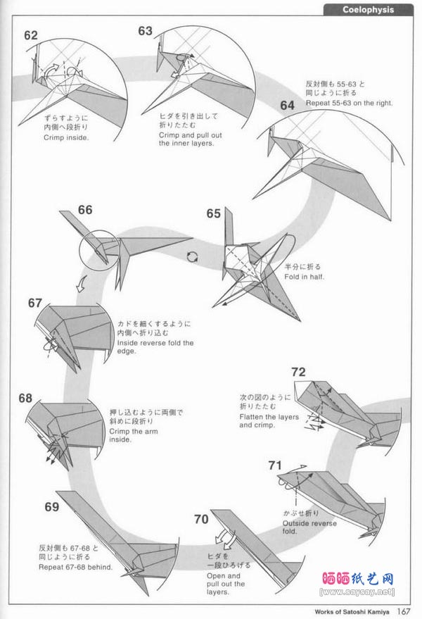 Coelophysis虚形龙折纸图解教程