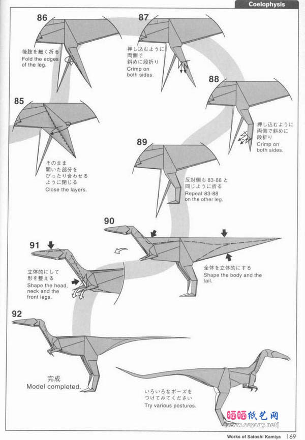 Coelophysis虚形龙折纸图解教程