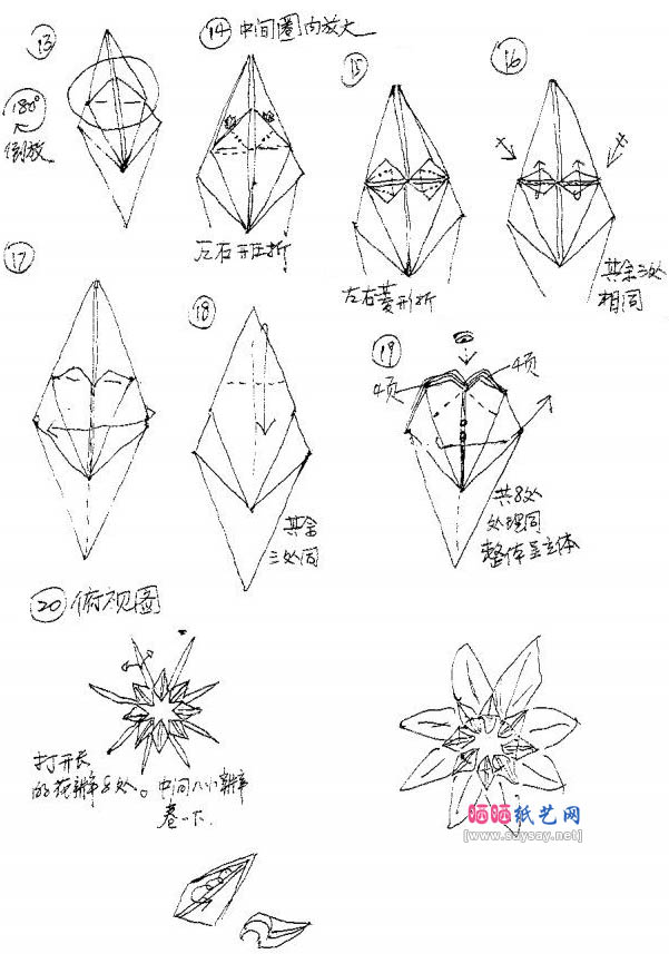 八瓣菊花的折法