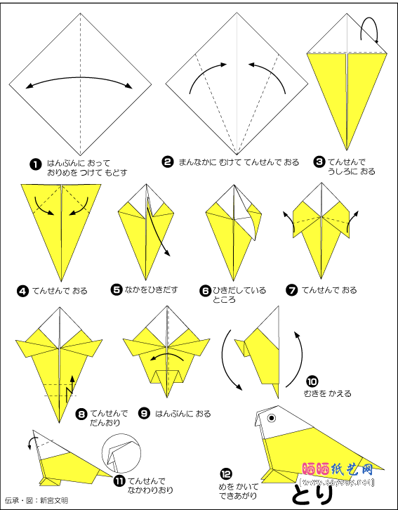 鹦鹉的折法-儿童折纸系列