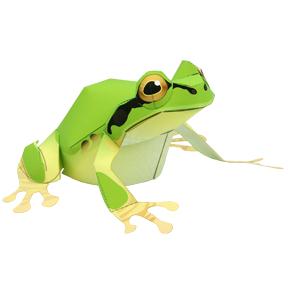树蛙纸模型免费下载