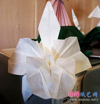 慕尼黑兰花折纸图解教程