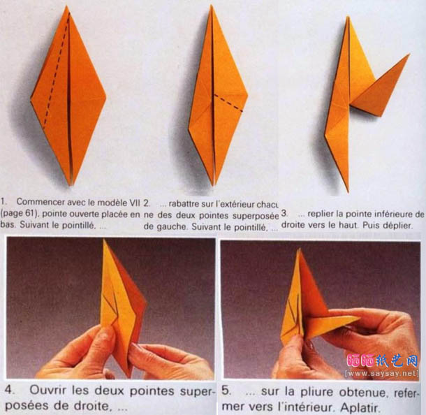 Zulal Ayture-Scheele单峰骆驼的折法