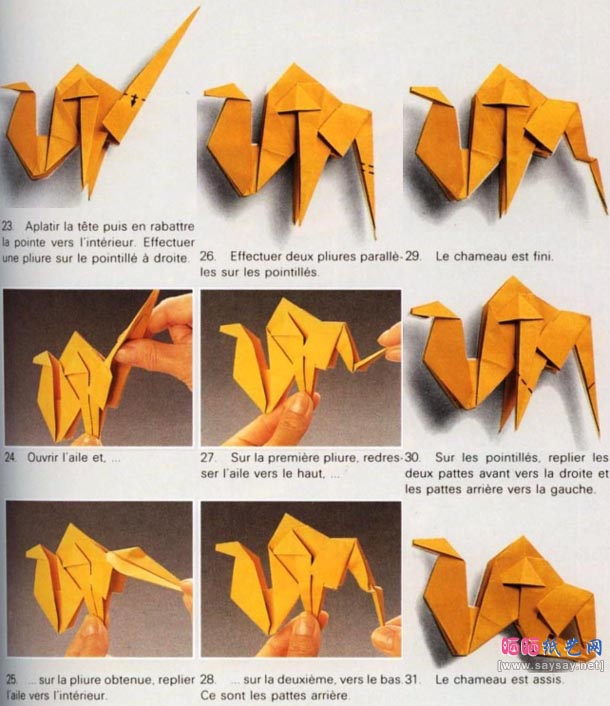Zulal Ayture-Scheele单峰骆驼的折法