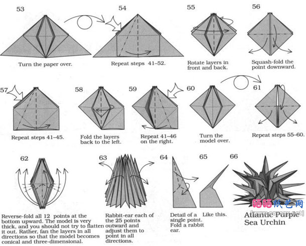 大西洋紫海胆折纸图解教程