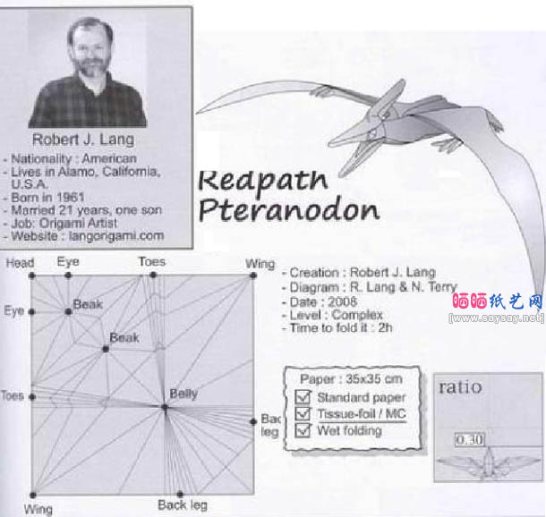 罗伯特翼龙折纸教程详细图解