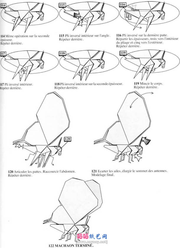 Machaon蝴蝶折纸教程-超难折纸