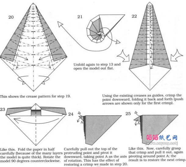 鹦鹉螺折纸图解教程