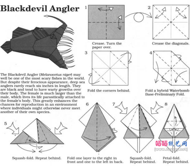 鮟鱇鱼折纸图解教程