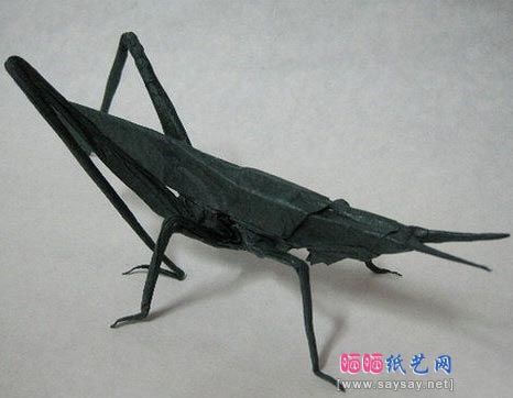 神谷哲史蝗虫折纸教程图解-高级教程