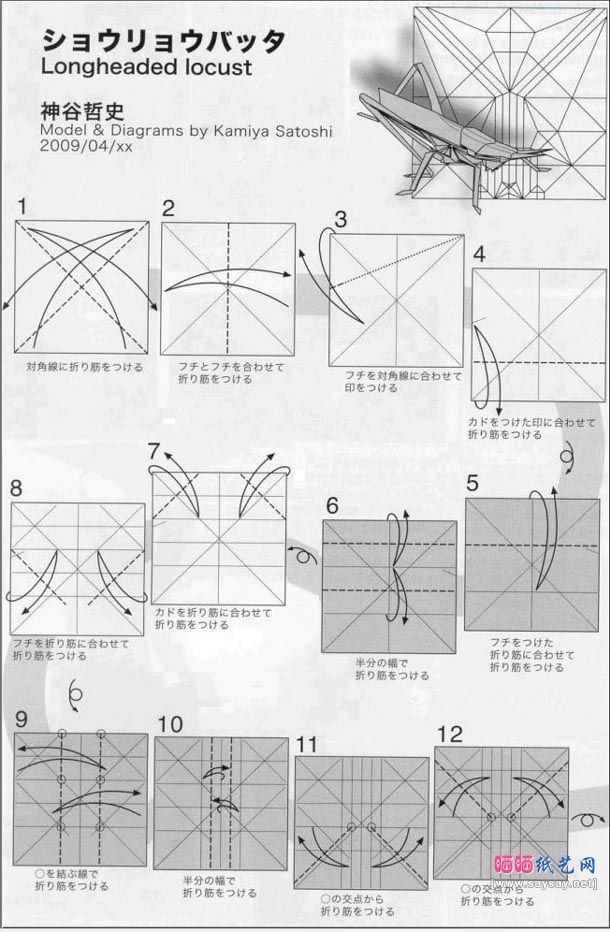神谷哲史蝗虫折纸教程图解-高级教程