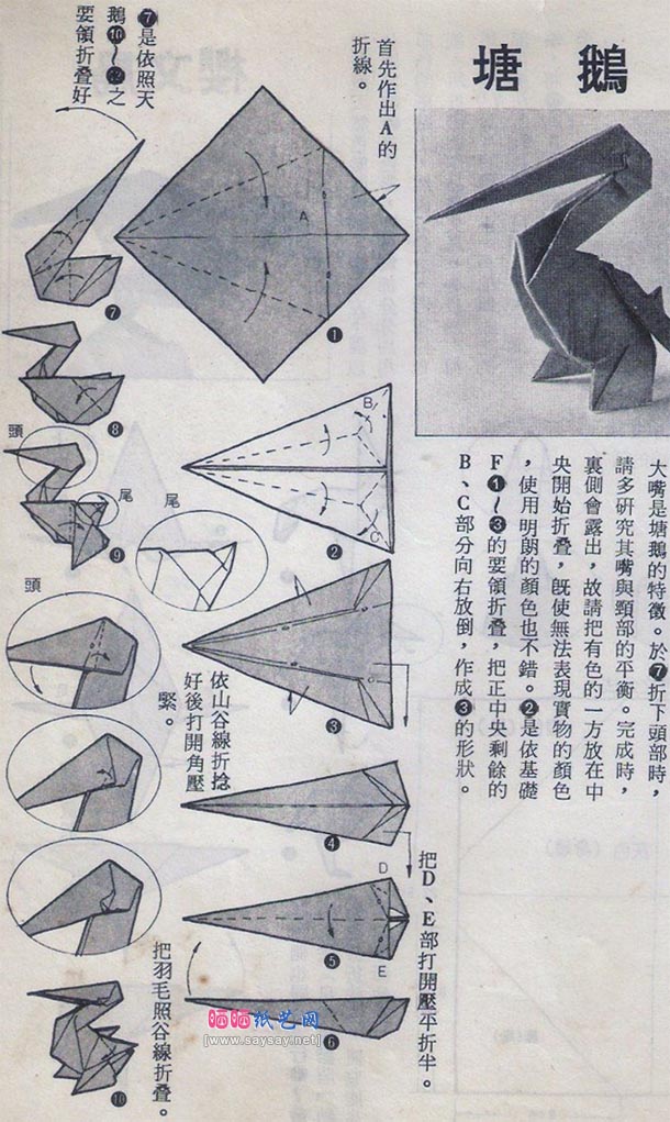 大嘴塘鹅折纸教程图解-儿童折纸教程