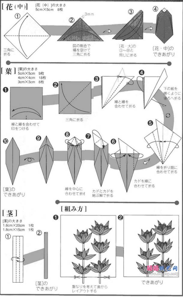 龙胆草折纸教程图解