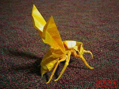 实拍神谷大黄蜂折纸教程图解