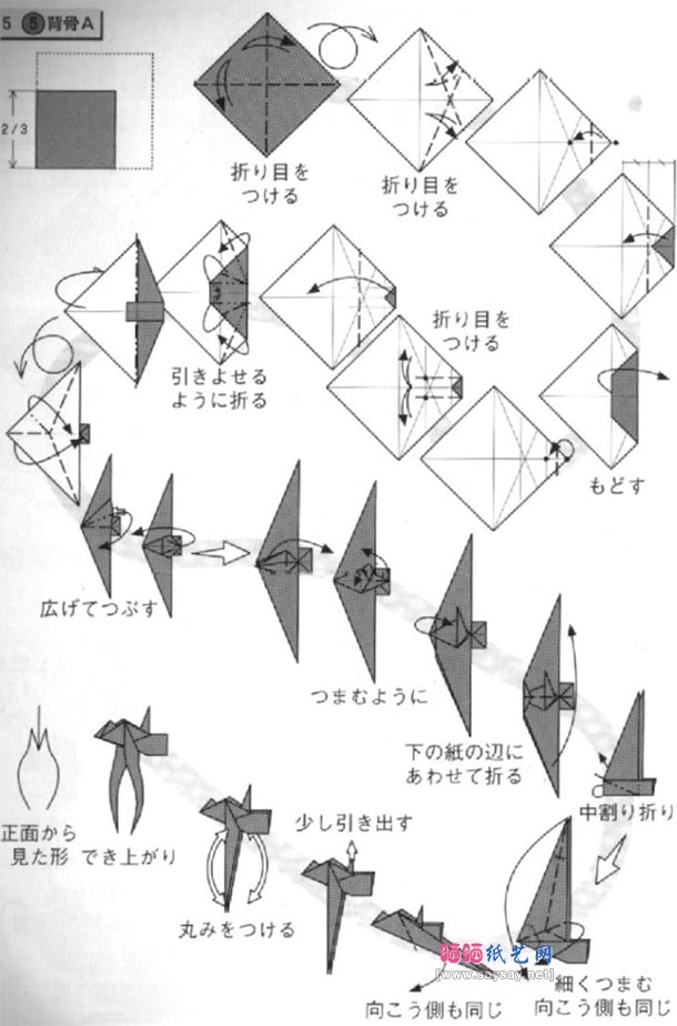 川畑文昭长颈龙骨架折纸教程图解