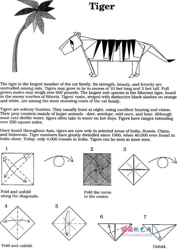 John Montroll斑纹小老虎折纸教程图解-高级教程