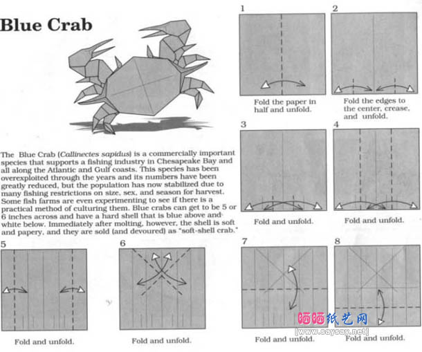 Robert J.Lang蓝蟹折纸教程图解