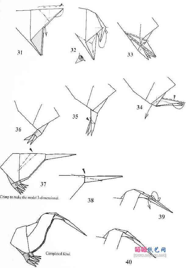 Roman Diaz奇异鸟折纸教程图解-几维鸟鹬鸵折纸