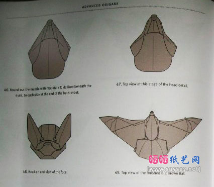 蝙蝠手工折纸教程详细图解