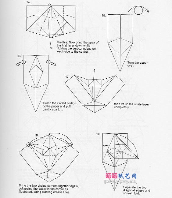 ronald koh伞蜥蜴（斗篷蜥蜴）折纸教程图解