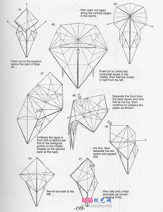 ronald koh伞蜥蜴（斗篷蜥蜴）折纸教程图解