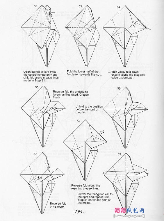 ronald koh伞蜥蜴（斗篷蜥蜴）折纸教程图解