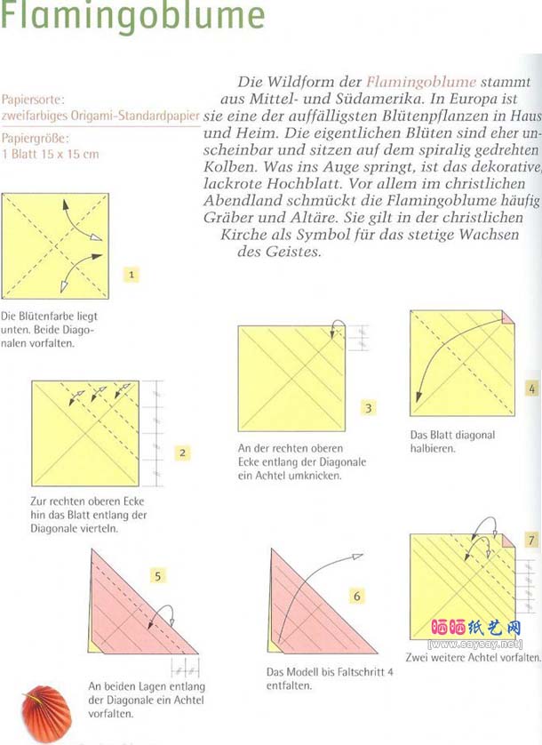 火鹤花flamingoblume折纸教程图解-红掌折纸
