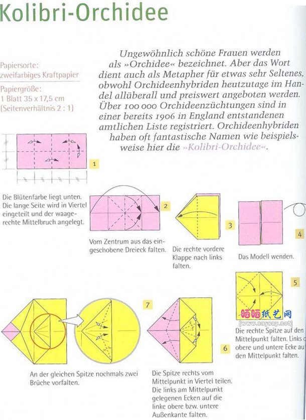 kolibri-orchidee蜂鸟兰花折纸教程图解
