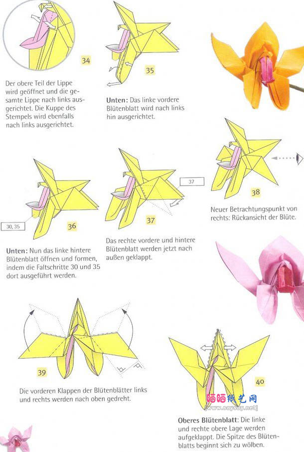 kolibri-orchidee蜂鸟兰花折纸教程图解