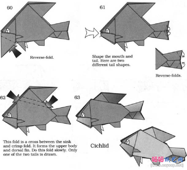 罗伯特鲷鱼折纸教程图解