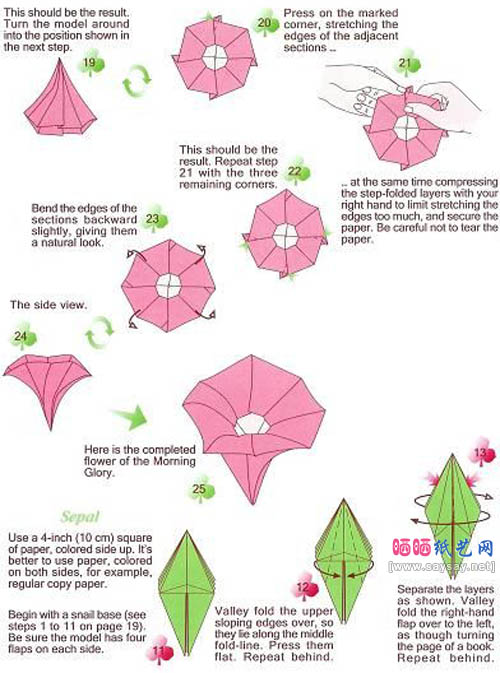 Katrin Shumakov的喇叭花折纸教程图解