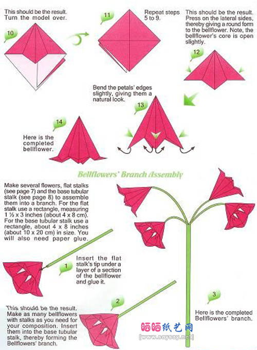 Katrin Shumakov的桔梗折纸教程图解