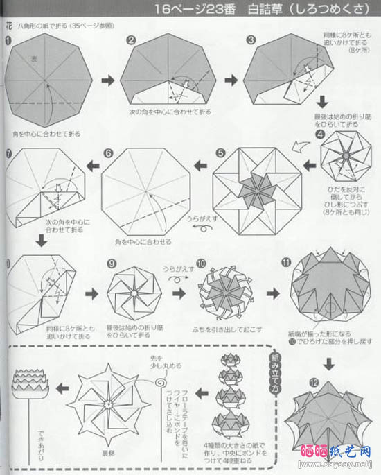 白洁草手工折纸教程图解