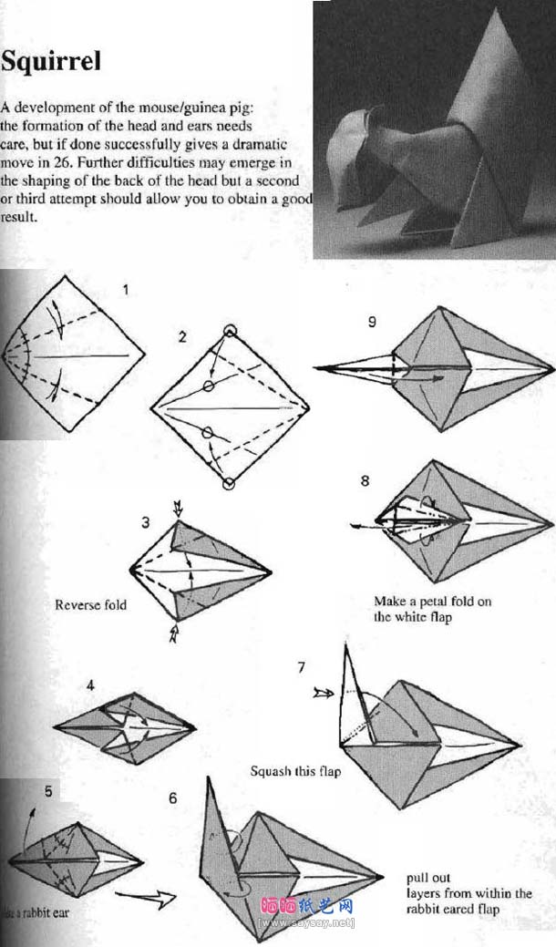 david brill松鼠折纸教程图解