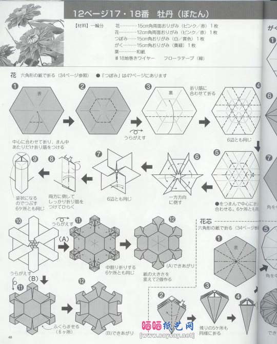 牡丹手工折纸教程图解