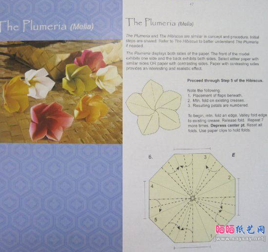 缅栀花折纸教程图解