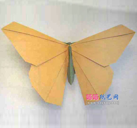 origamido漂亮蝴蝶折纸成品图欣赏