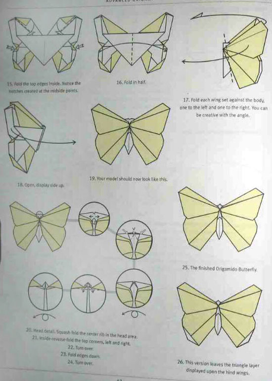 origamido工作室的漂亮蝴蝶的折纸祥细步骤3