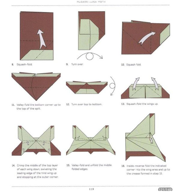 精致的蝴蝶折法教程2
